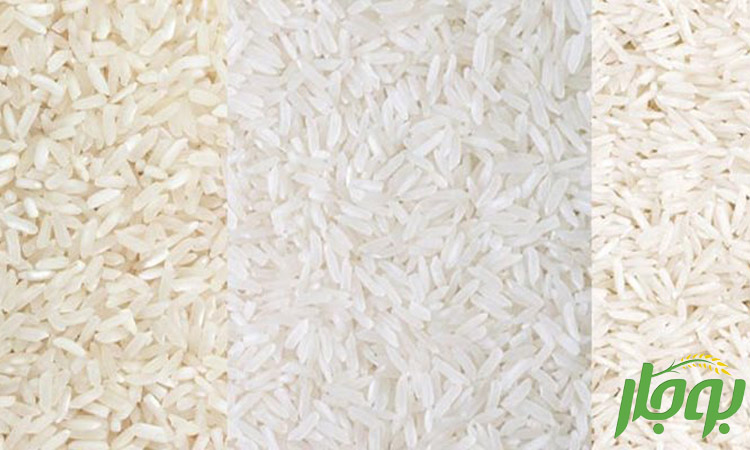 معرفی انواع برنج عمده