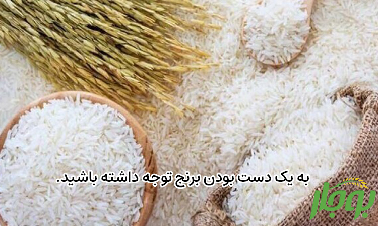 به یکدست بودن برنج‌ها توجه داشته باشید